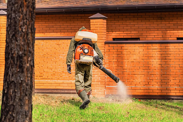Trusted Bed Bug Control service in Turnersville, NJ - Nex Pest Control